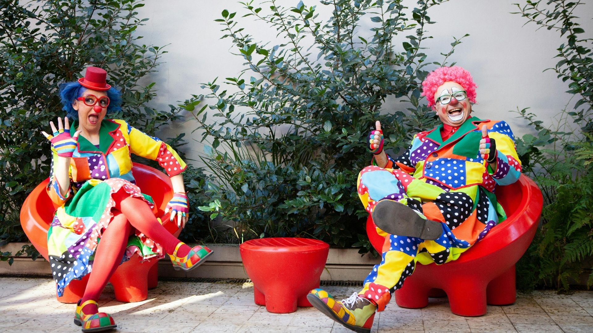 Organizasyon Hizmeti